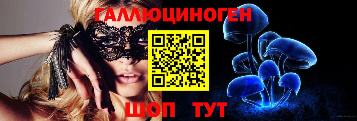 Галлюциногенные грибы прущие грибы  Вход с VPN  Тында 